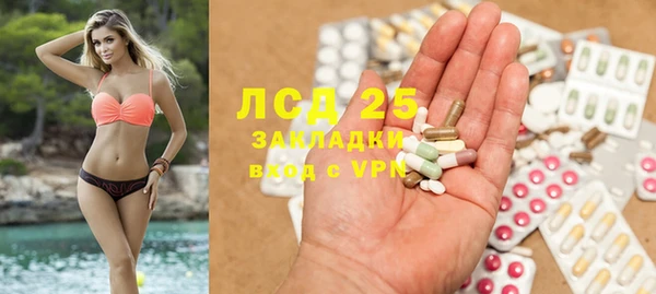 стафф Алексин