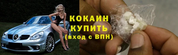 стафф Алексин