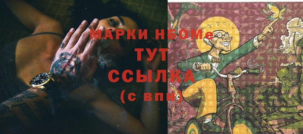 стафф Алексин