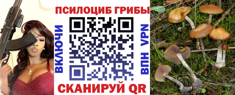 blacksprut вход  Пикалёво  Галлюциногенные грибы Magic Shrooms  дарнет шоп 