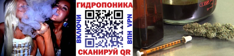 Шишки марихуана конопля блэк спрут зеркало Пикалёво где найти наркотики